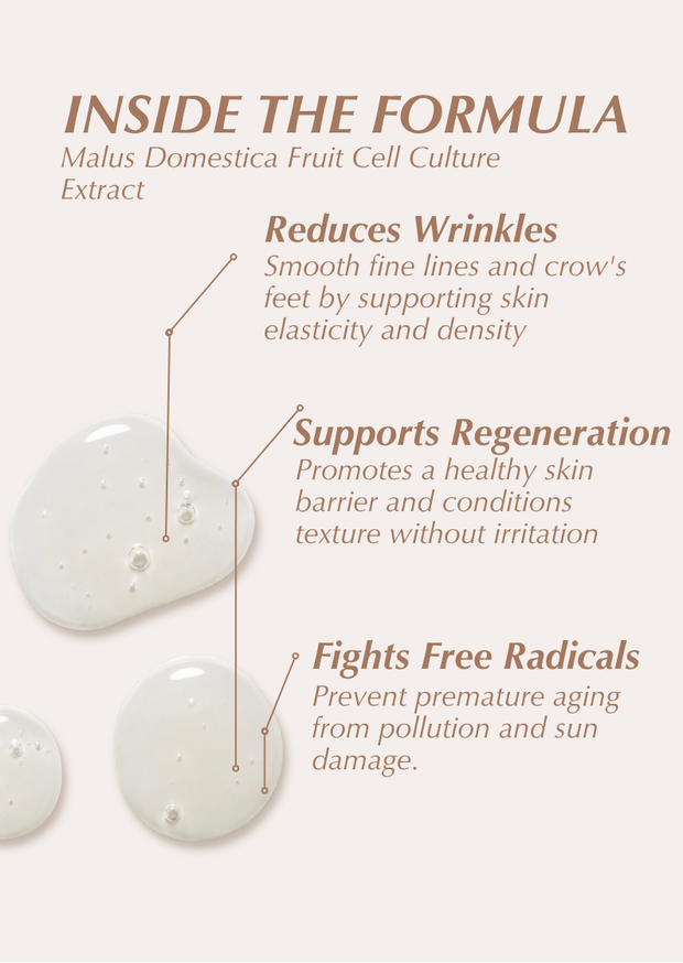 Retail Stem Cell Serum 30ml